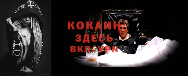 шишки Балахна