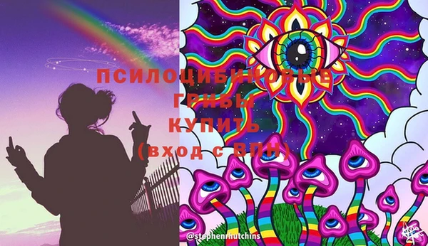 шишки Балахна