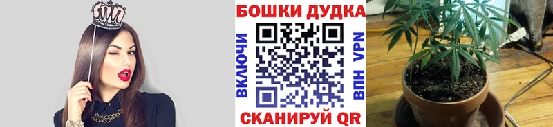 Бошки Шишки марихуана  кракен рабочий сайт  Эртиль  купить  